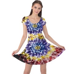 Rainbow Chrysanthemum Cap Sleeve Dress by bloomingvinedesign