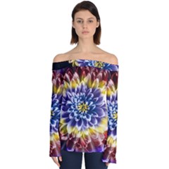 Rainbow Chrysanthemum Off Shoulder Long Sleeve Top by bloomingvinedesign