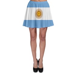 Argentina Flag Skater Skirt by FlagGallery