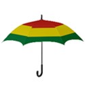 Bolivia Flag Hook Handle Umbrellas (Medium) View3