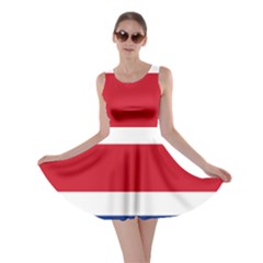 Costa Rica Flag Skater Dress by FlagGallery