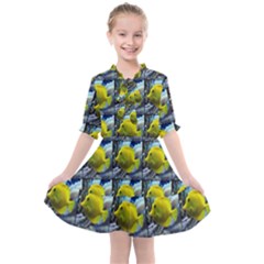 Fish Kids  All Frills Chiffon Dress