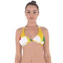 Guinea Flag Map Geography Outline Halter Neck Bikini Top View1