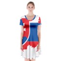 Slovakia Country Europe Flag Short Sleeve V-neck Flare Dress View1