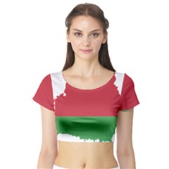 Belarus Country Europe Flag Short Sleeve Crop Top by Sapixe