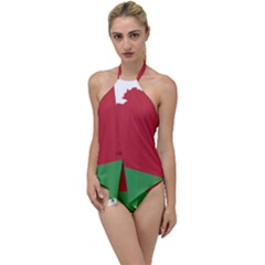 Belarus Country Europe Flag Go With The Flow One Piece Swimsuit by Sapixe