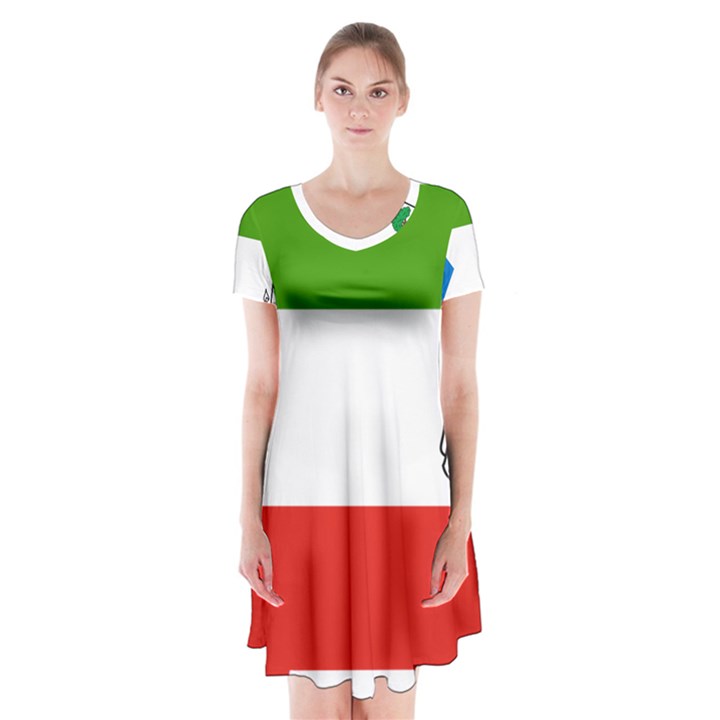 Equatorial Guinea Flag Map Short Sleeve V-neck Flare Dress