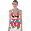 Borders Country Flag Geography Map Babydoll Tankini Top View1