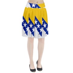 Bosnia And Herzegovina Country Pleated Skirt by Sapixe