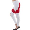 Monaco Country Europe Flag Borders Lightweight Velour Leggings View3