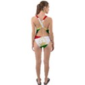 Flag Iran Tajikistan Afghanistan Cut-Out Back One Piece Swimsuit View2