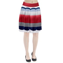 Costa Rica Flag Country Symbol Pleated Skirt by Sapixe