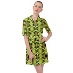 D 8 Belted Shirt Dress