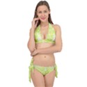 Background Green Star Tie It Up Bikini Set View1