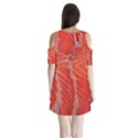 Food Fish Red Trout Salty Natural Shoulder Cutout Velvet One Piece View2