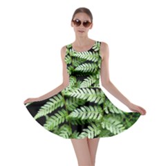 Fern Plant Leaf Green Botany Skater Dress by Pakrebo