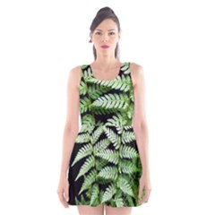 Fern Plant Leaf Green Botany Scoop Neck Skater Dress by Pakrebo