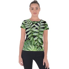 Fern Plant Leaf Green Botany Short Sleeve Sports Top  by Pakrebo