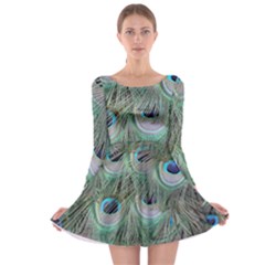 Peacock Feather Pattern Plumage Long Sleeve Skater Dress by Pakrebo