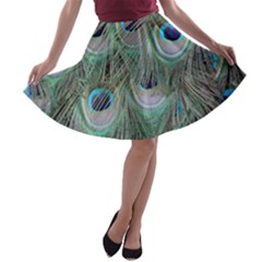 Peacock Feather Pattern Plumage A-line Skater Skirt by Pakrebo