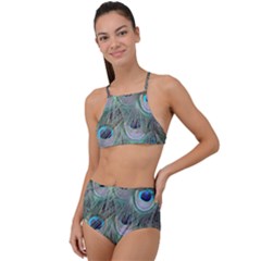 Peacock Feather Pattern Plumage High Waist Tankini Set by Pakrebo