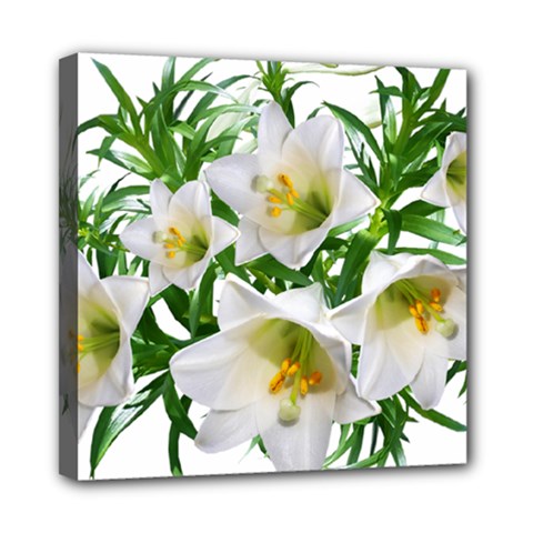 Lilies Flowers Perfume Arrangement Mini Canvas 8  X 8  (stretched) by Pakrebo