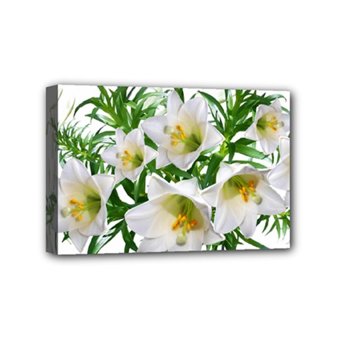 Lilies Flowers Perfume Arrangement Mini Canvas 6  X 4  (stretched) by Pakrebo