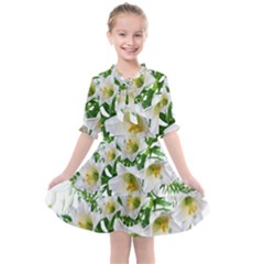 Lilies Flowers Perfume Arrangement Kids  All Frills Chiffon Dress by Pakrebo