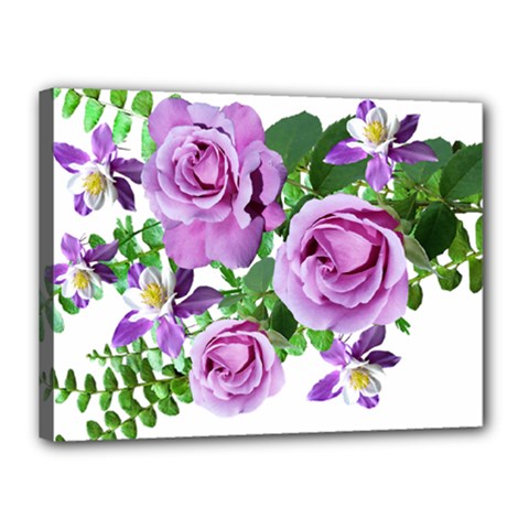 Flowers Roses Aquilegias Ferns Canvas 16  X 12  (stretched) by Pakrebo