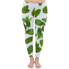 Mint Seamless Pattern Leaf Green Classic Winter Leggings