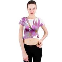 Lily Belladonna Easter Lily Crew Neck Crop Top by Pakrebo