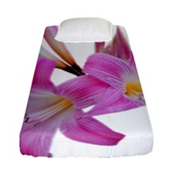 Lily Belladonna Easter Lily Fitted Sheet (single Size) by Pakrebo