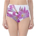 Lily Belladonna Easter Lily Classic High-Waist Bikini Bottoms View1