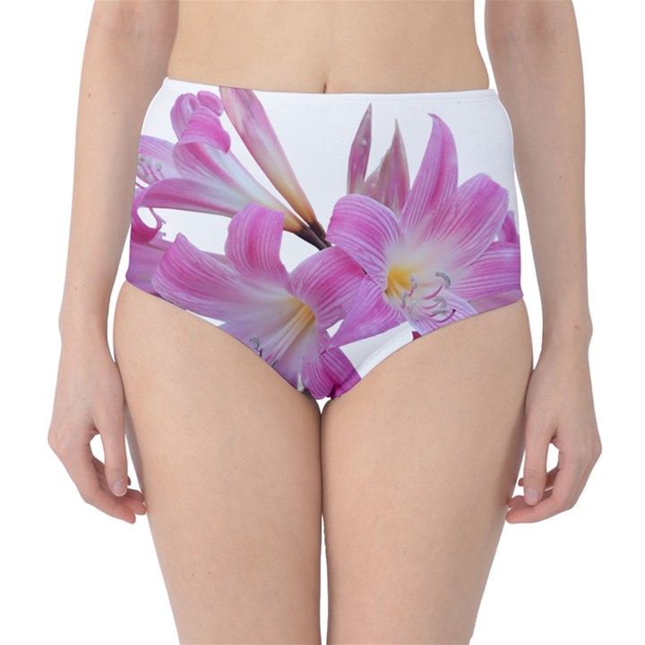 Lily Belladonna Easter Lily Classic High-Waist Bikini Bottoms