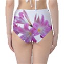 Lily Belladonna Easter Lily Classic High-Waist Bikini Bottoms View2