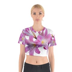 Lily Belladonna Easter Lily Cotton Crop Top by Pakrebo