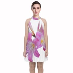 Lily Belladonna Easter Lily Velvet Halter Neckline Dress  by Pakrebo