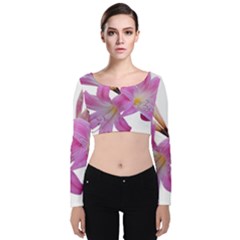 Lily Belladonna Easter Lily Velvet Long Sleeve Crop Top by Pakrebo