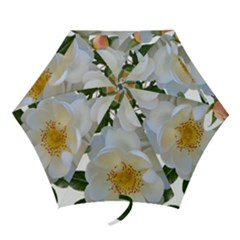 Roses Stamens Pollen Buds White Mini Folding Umbrellas by Pakrebo