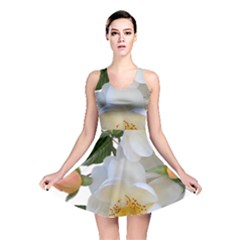 Roses Stamens Pollen Buds White Reversible Skater Dress by Pakrebo