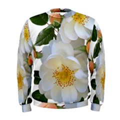 Roses Stamens Pollen Buds White Men s Sweatshirt