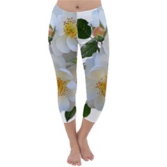 Roses Stamens Pollen Buds White Capri Winter Leggings 