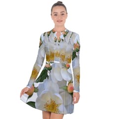 Roses Stamens Pollen Buds White Long Sleeve Panel Dress by Pakrebo