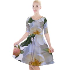 Roses Stamens Pollen Buds White Quarter Sleeve A-line Dress by Pakrebo