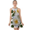 Roses Stamens Pollen Buds White Halter Tie Back Chiffon Dress View1