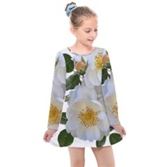 Roses Stamens Pollen Buds White Kids  Long Sleeve Dress by Pakrebo