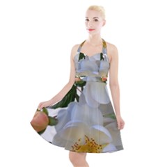 Roses Stamens Pollen Buds White Halter Party Swing Dress  by Pakrebo