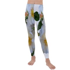 Roses Stamens Pollen Buds White Kids  Lightweight Velour Leggings by Pakrebo