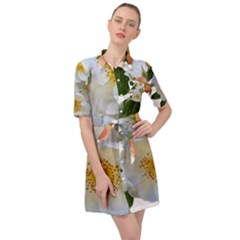 Roses Stamens Pollen Buds White Belted Shirt Dress