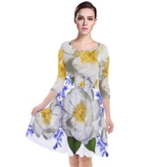 Flowers Camellia Bluebells Fragrant Quarter Sleeve Waist Band Dress by Pakrebo